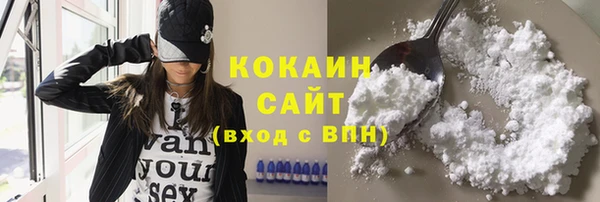 стаф Вяземский