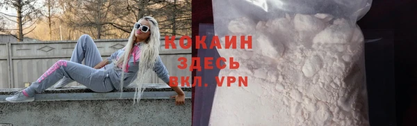 стаф Вяземский