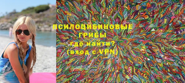 стаф Вяземский