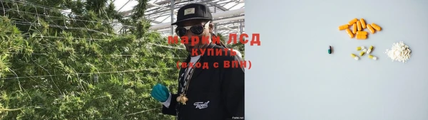стаф Вяземский