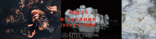 стаф Вяземский