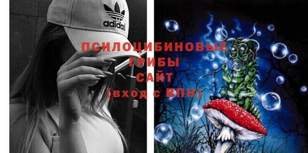 стаф Вяземский