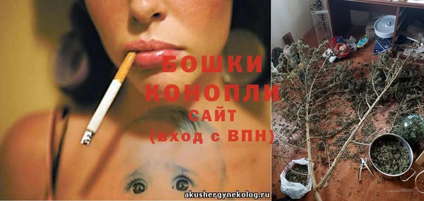 стаф Вяземский