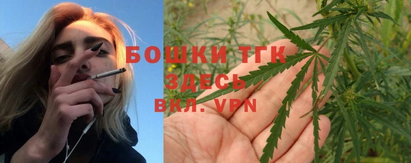 стаф Вяземский
