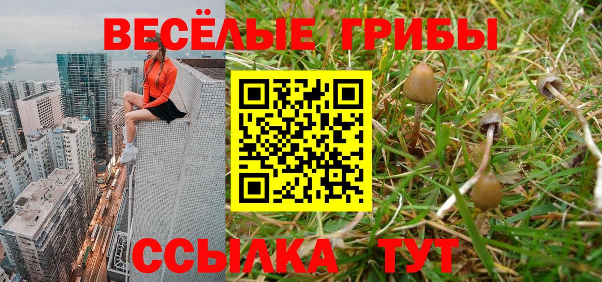 Псилоцибиновые грибы прущие грибы Назарово