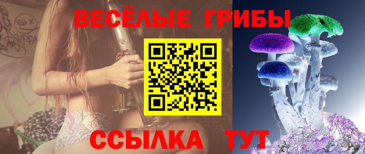 Псилоцибиновые грибы Cubensis  Вход с VPN  Псилоцибиновые грибы GOLDEN TEACHER  Назарово 
